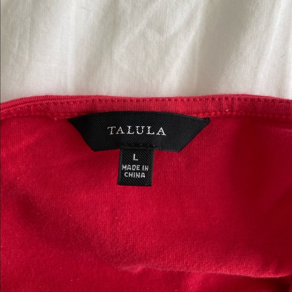 Aritzia Talula Tank Top - Picture 4 of 4